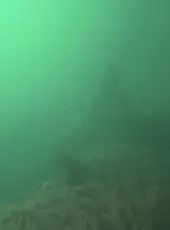 Deep Diving Simulator