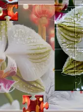 Master of Pieces Jigsaw Puzzle: Chinese New Year