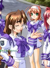 Muv-Luv