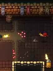 Enter the Gungeon