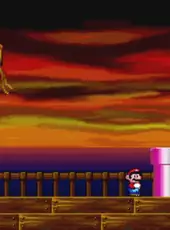 Super Mario's Wacky Worlds