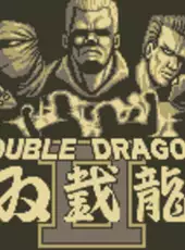 Double Dragon II