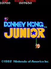 Donkey Kong Junior