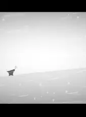 The Mooseman