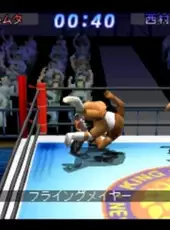 Shin Nippon Pro Wrestling: Toukon Retsuden 2