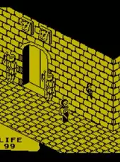 Fairlight