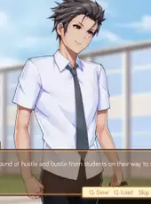Analistica Academy
