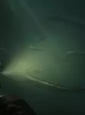 The Sinking City: Chicago Organ Grinder