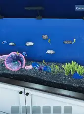 Aquarist
