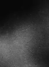 Luto