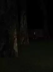 Slender-Man