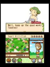 Harvest Moon: The Tale of Two Towns