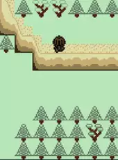 Quest 2: The Ancient Temples