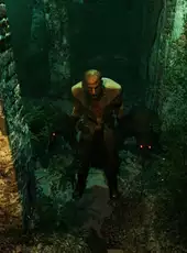 Last Half of Darkness