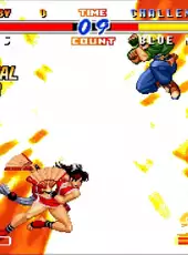Real Bout Fatal Fury 2: The Newcomers