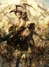 Vagrant Story