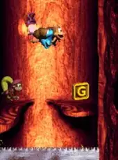 Donkey Kong Country 3: Dixie Kong's Double Trouble!