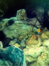 Deep Diving Simulator