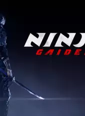 Ninja Gaiden 4