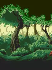 A Little Walk in the Woods