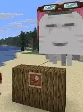 Minecraft: Chase the Skies