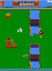 Arcade Archives: Dacholer