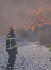 Rescue Ops: Wildfire