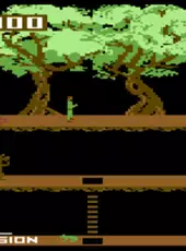 Pitfall II: The Lost Caverns