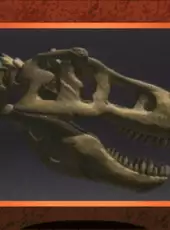 3-D Dinosaur Adventure