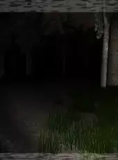 Slender: The Eight Pages