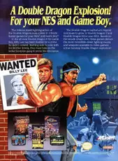 Double Dragon II