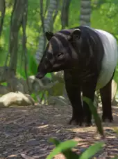 Planet Zoo: Southeast Asia Animal Pack