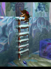 Tomba! 2: The Evil Swine Return Special Edition