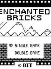 Enchanted Bricks