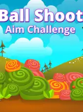 Ball Shoot Aim Challenge