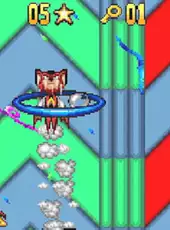 Aero The Acro-Bat: Rascal Rival Revenge