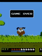 Duck Hunt