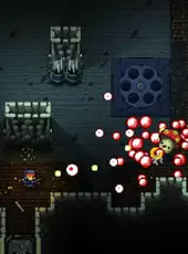 Enter the Gungeon