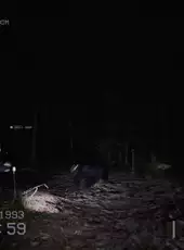 Don't Scream Together