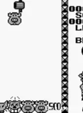 Zoo Block