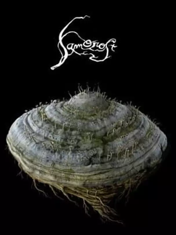 Samorost