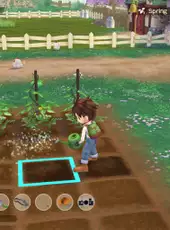 Story of Seasons: A Wonderful Life