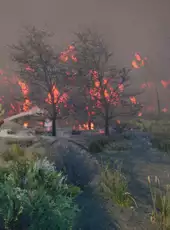 Rescue Ops: Wildfire