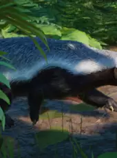 Planet Zoo: Asia Animal Pack