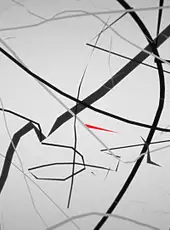 Story of a Line