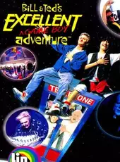 Bill & Ted's Excellent Game Boy Adventure: A Bogus Journey!