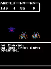 Dragon Warrior II