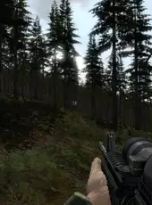 Arma 2