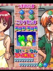 Tokimeki Memorial 2: Taisen Puzzle-Dama