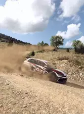 DiRT Rally 2.0: Super Deluxe Edition